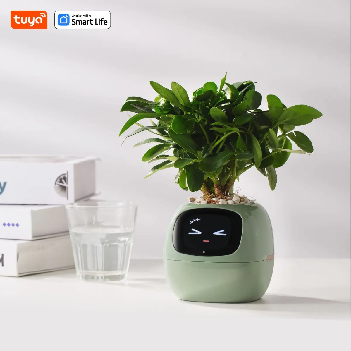 Tuya Ivy Smart Planter, 49 Expressions,7 sensors, Make Raising Plants Easy & Fun