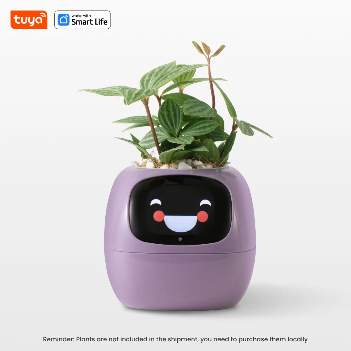 Tuya Ivy Smart Planter, 49 Expressions,7 sensors, Make Raising Plants Easy & Fun