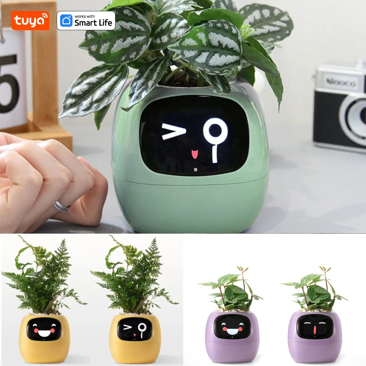Tuya Ivy Smart Planter, 49 Expressions,7 sensors, Make Raising Plants Easy & Fun