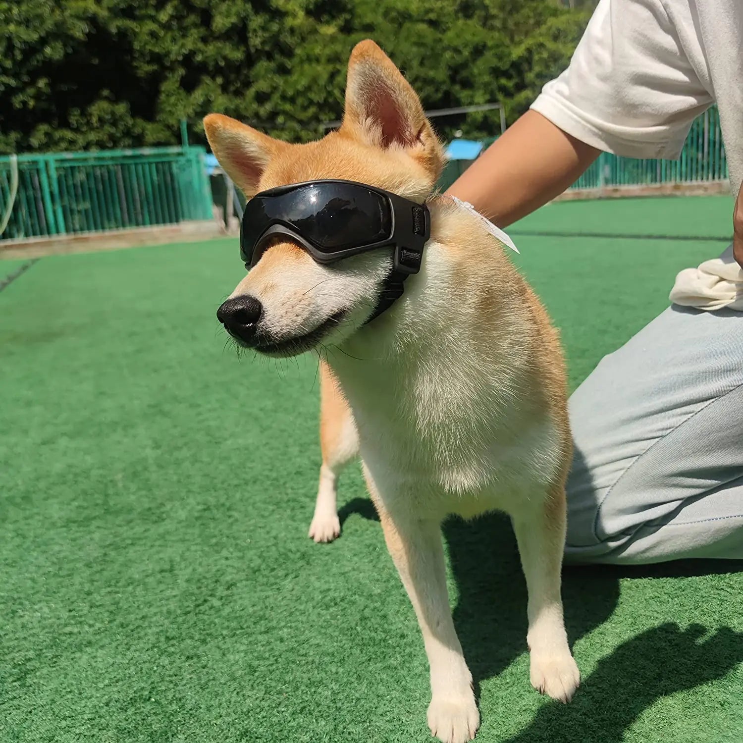 Stylish Canine UV Sunglasses