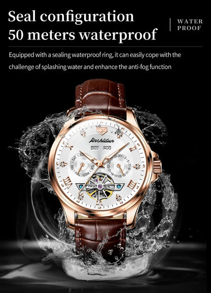 JSDUN Luxury Men's Watches Top Brand Automatic Mechanical Wrist Watch for Man Waterproof Leather Strap Luminous Business Dress