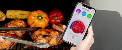 WiFi Smart Meat Thermometer for BBQ, Oven, Grill, Smoker, iOS & Android App